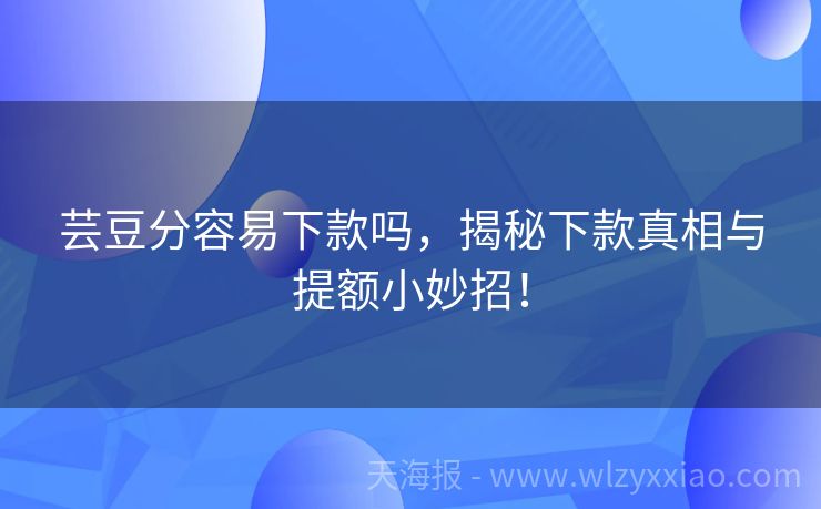 芸豆分容易下款吗，揭秘下款真相与提额小妙招！