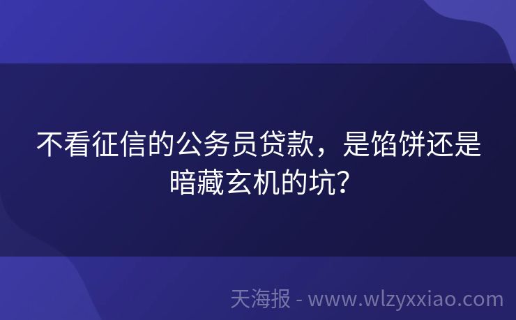 不看征信的公务员贷款，是馅饼还是暗藏玄机的坑？
