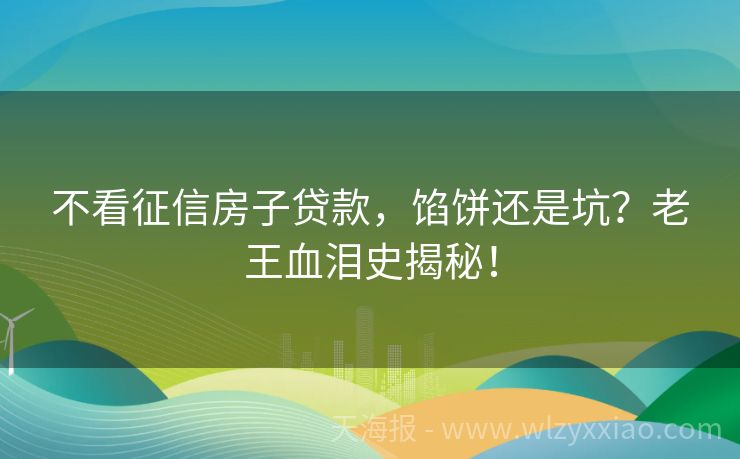 不看征信房子贷款，馅饼还是坑？老王血泪史揭秘！