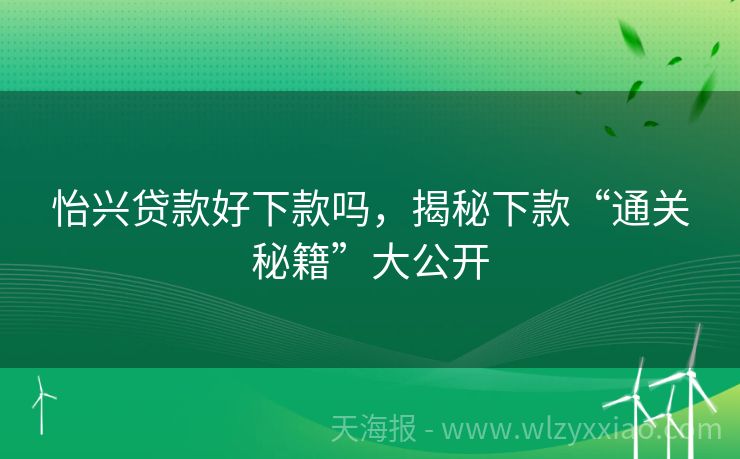 怡兴贷款好下款吗，揭秘下款“通关秘籍”大公开
