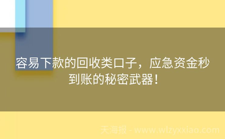 容易下款的回收类口子，应急资金秒到账的秘密武器！