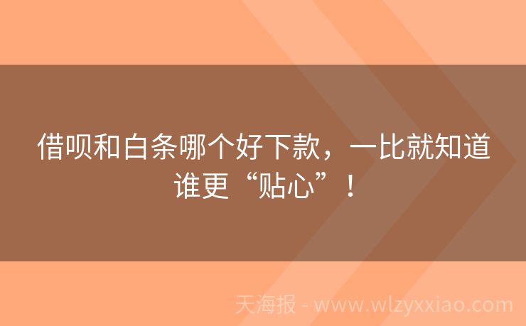 借呗和白条哪个好下款，一比就知道谁更“贴心”！