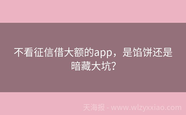 不看征信借大额的app，是馅饼还是暗藏大坑？