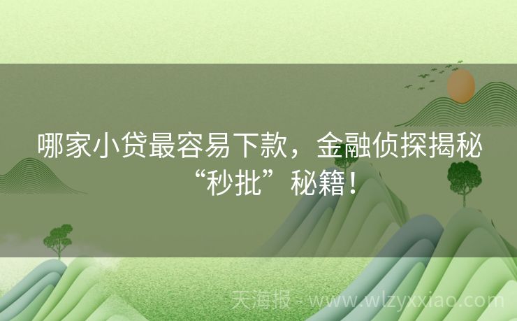 哪家小贷最容易下款，金融侦探揭秘“秒批”秘籍！