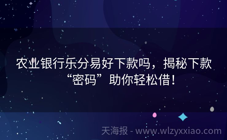 农业银行乐分易好下款吗，揭秘下款“密码”助你轻松借！