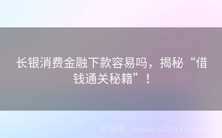 长银消费金融下款容易吗，揭秘“借钱通关秘籍”！