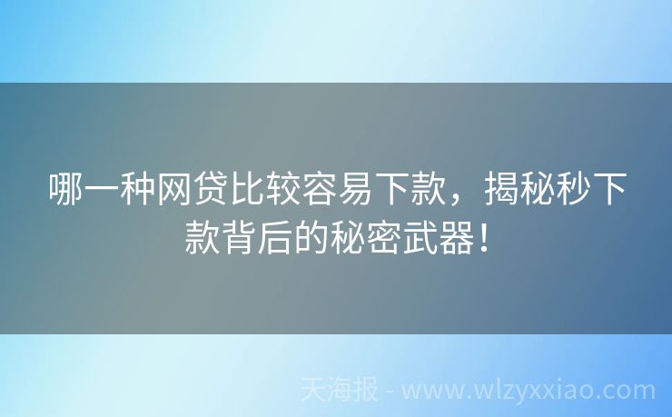 哪一种网贷比较容易下款，揭秘秒下款背后的秘密武器！