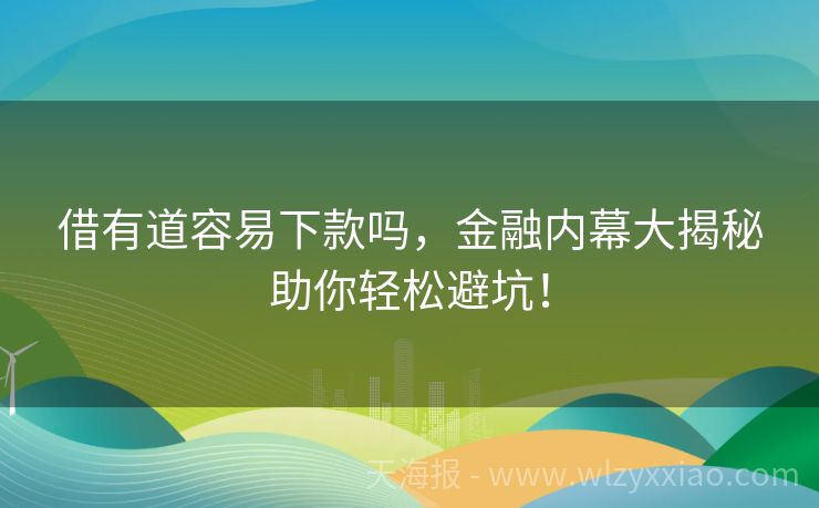 借有道容易下款吗，金融内幕大揭秘助你轻松避坑！