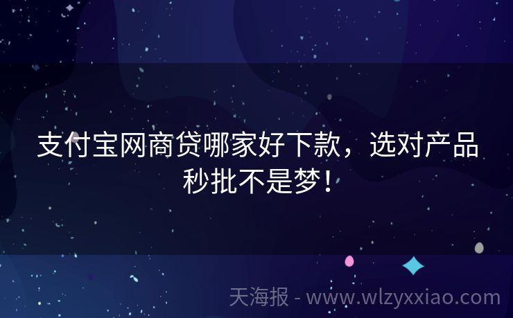 支付宝网商贷哪家好下款，选对产品秒批不是梦！