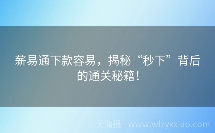 薪易通下款容易，揭秘“秒下”背后的通关秘籍！