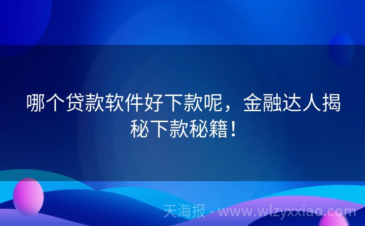 哪个贷款软件好下款呢，金融达人揭秘下款秘籍！