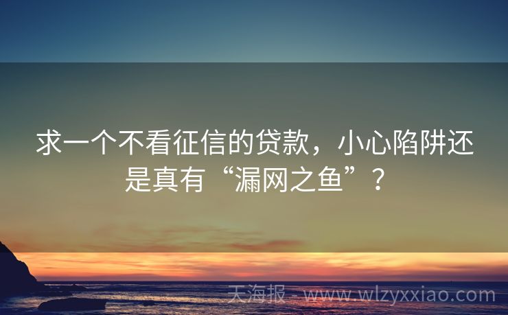 求一个不看征信的贷款，小心陷阱还是真有“漏网之鱼”？
