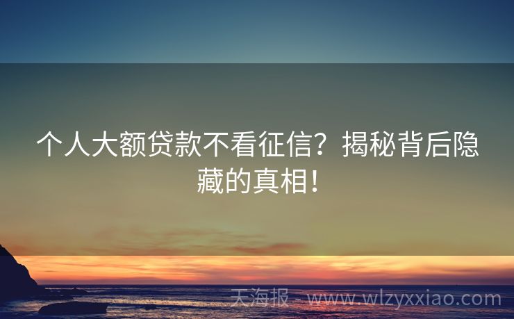 个人大额贷款不看征信？揭秘背后隐藏的真相！