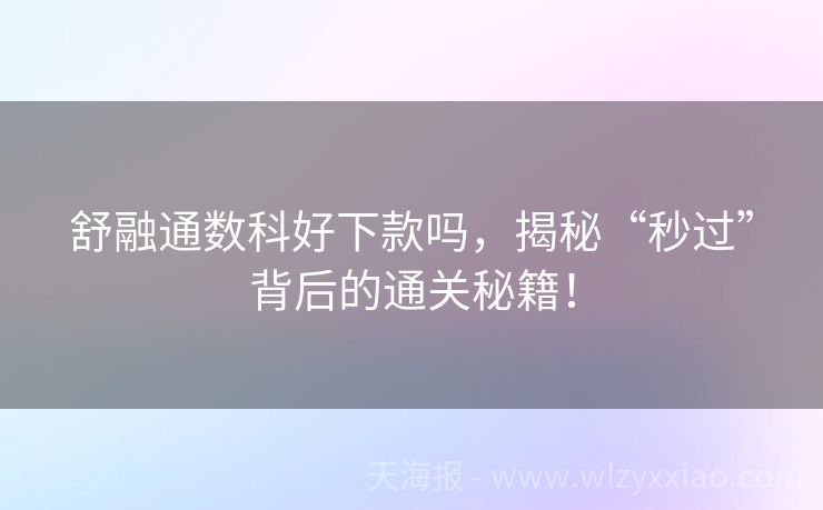 舒融通数科好下款吗，揭秘“秒过”背后的通关秘籍！