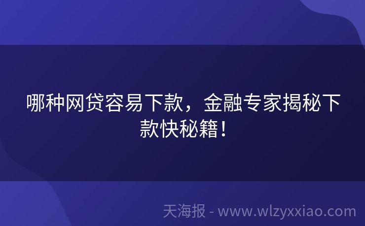 哪种网贷容易下款，金融专家揭秘下款快秘籍！