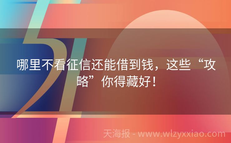 哪里不看征信还能借到钱，这些“攻略”你得藏好！
