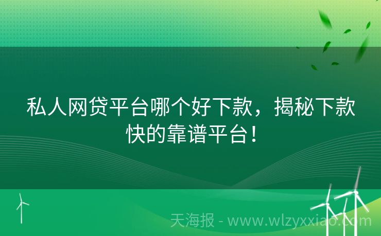 私人网贷平台哪个好下款，揭秘下款快的靠谱平台！