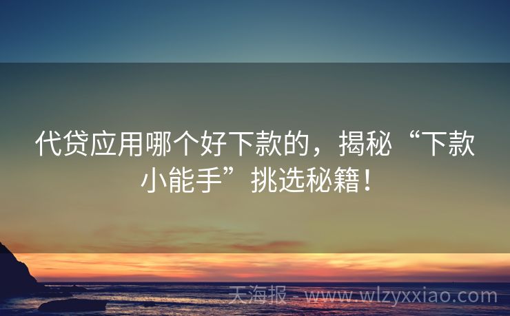 代贷应用哪个好下款的，揭秘“下款小能手”挑选秘籍！