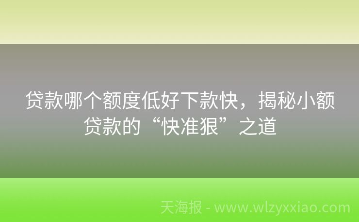 贷款哪个额度低好下款快，揭秘小额贷款的“快准狠”之道
