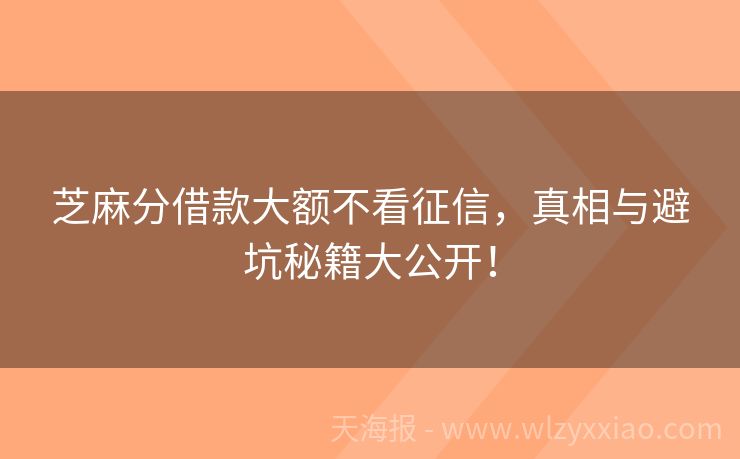 芝麻分借款大额不看征信，真相与避坑秘籍大公开！