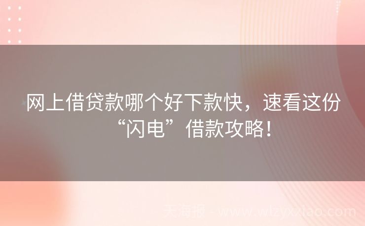 网上借贷款哪个好下款快，速看这份“闪电”借款攻略！