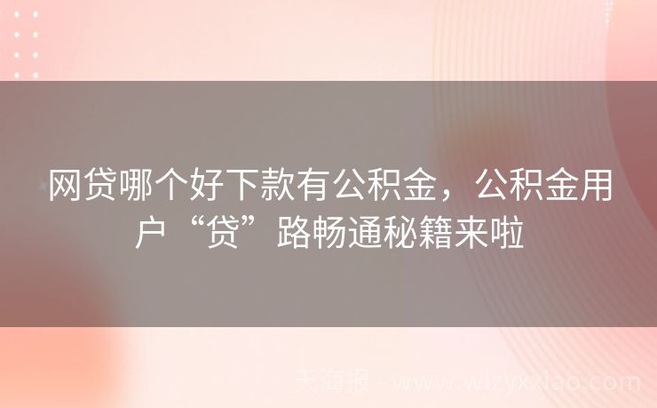 网贷哪个好下款有公积金，公积金用户“贷”路畅通秘籍来啦
