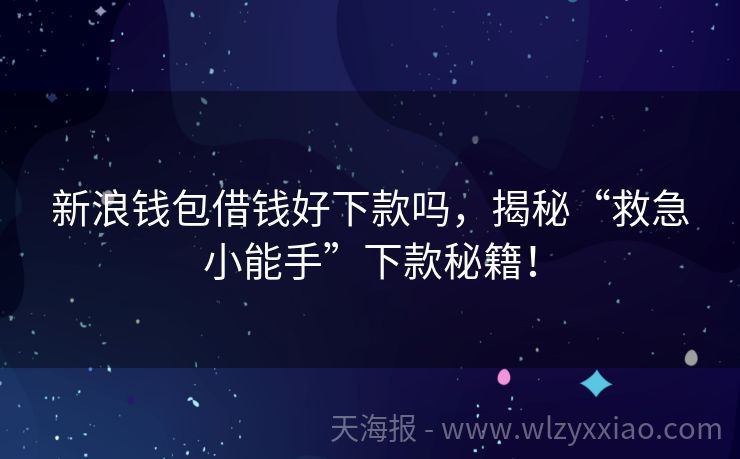 新浪钱包借钱好下款吗，揭秘“救急小能手”下款秘籍！