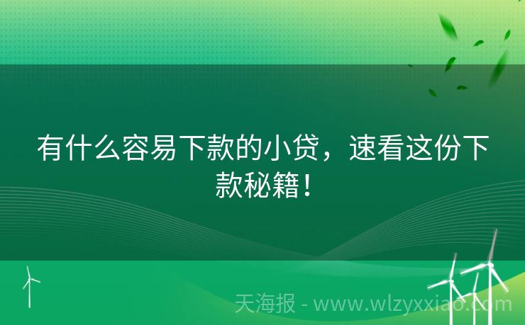 有什么容易下款的小贷，速看这份下款秘籍！