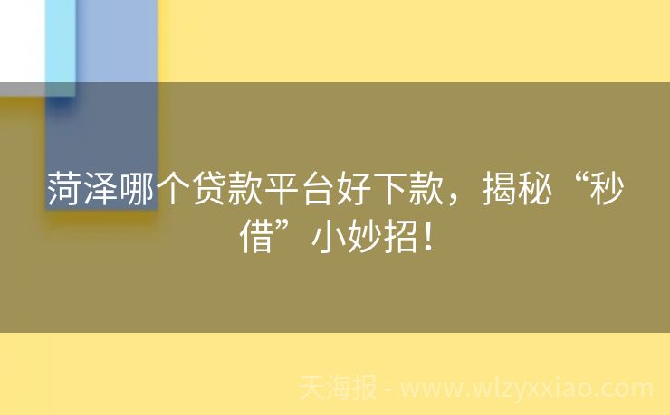 菏泽哪个贷款平台好下款，揭秘“秒借”小妙招！