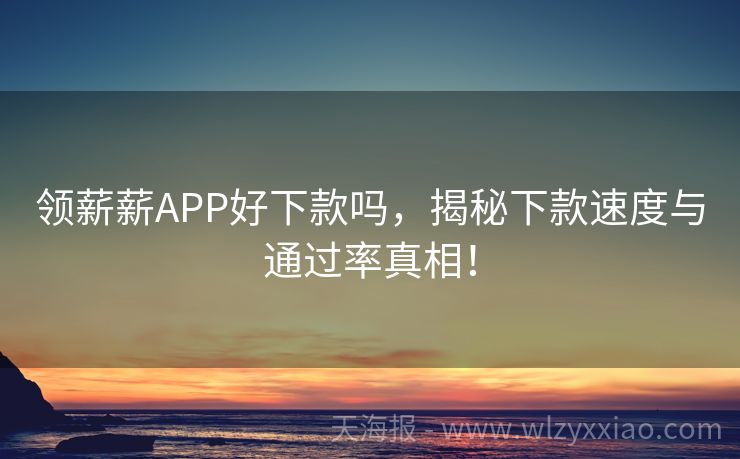 领薪薪APP好下款吗，揭秘下款速度与通过率真相！