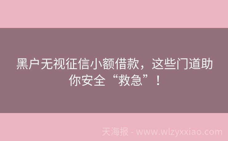 黑户无视征信小额借款，这些门道助你安全“救急”！