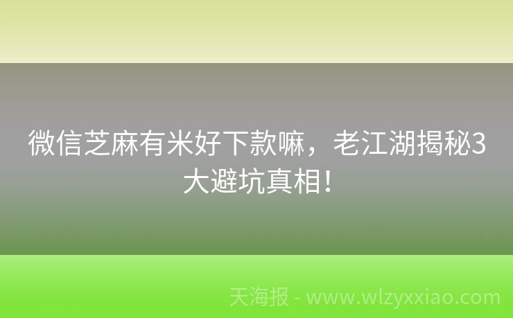 微信芝麻有米好下款嘛，老江湖揭秘3大避坑真相！