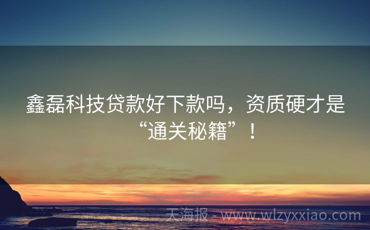 鑫磊科技贷款好下款吗，资质硬才是“通关秘籍”！