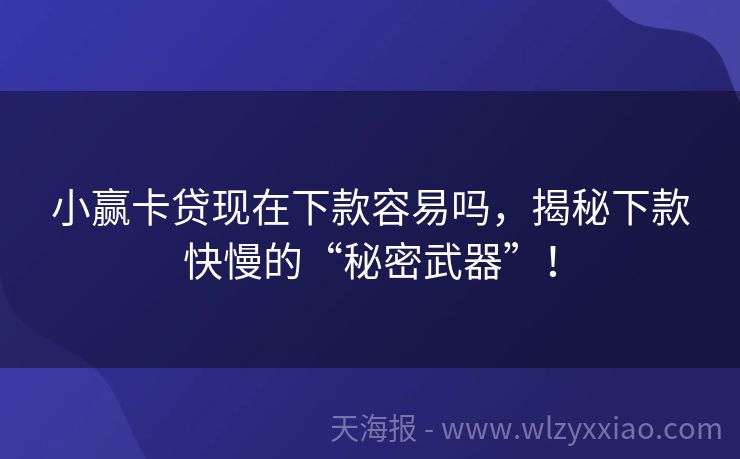 小赢卡贷现在下款容易吗，揭秘下款快慢的“秘密武器”！