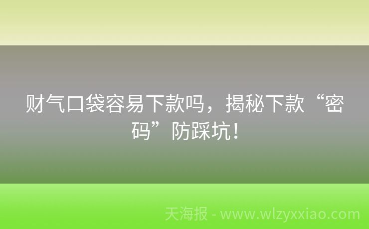 财气口袋容易下款吗，揭秘下款“密码”防踩坑！
