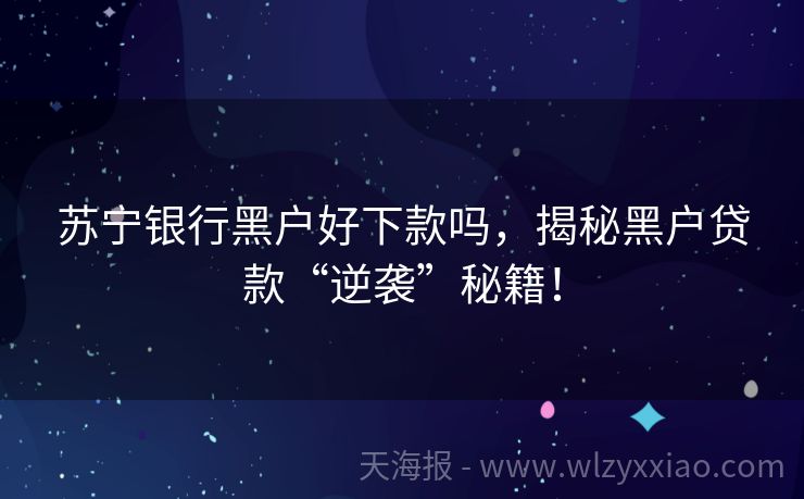苏宁银行黑户好下款吗，揭秘黑户贷款“逆袭”秘籍！