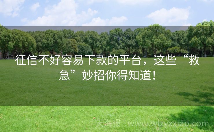 征信不好容易下款的平台，这些“救急”妙招你得知道！