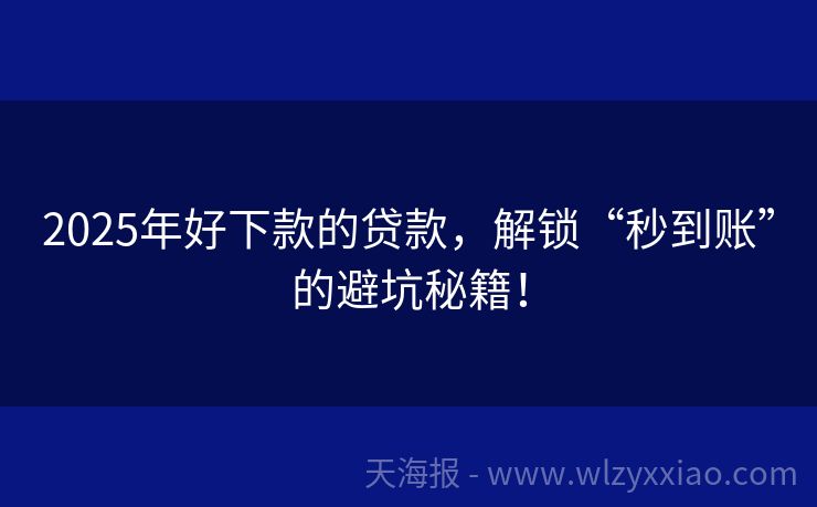 2025年好下款的贷款，解锁“秒到账”的避坑秘籍！