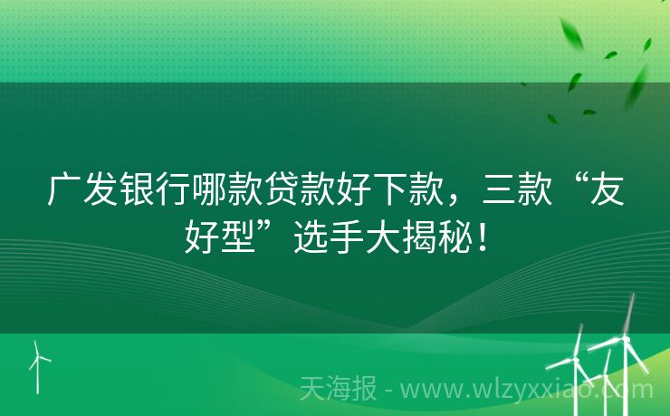 广发银行哪款贷款好下款，三款“友好型”选手大揭秘！