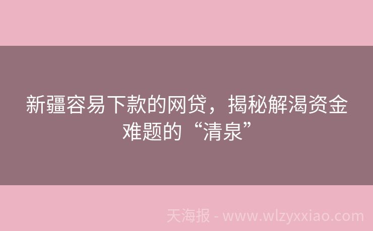 新疆容易下款的网贷，揭秘解渴资金难题的“清泉”
