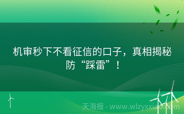 机审秒下不看征信的口子，真相揭秘防“踩雷”！