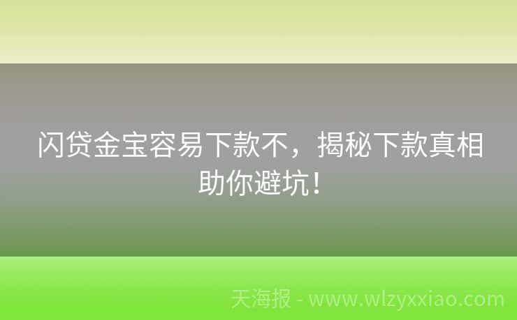 闪贷金宝容易下款不，揭秘下款真相助你避坑！