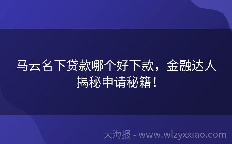 马云名下贷款哪个好下款，金融达人揭秘申请秘籍！