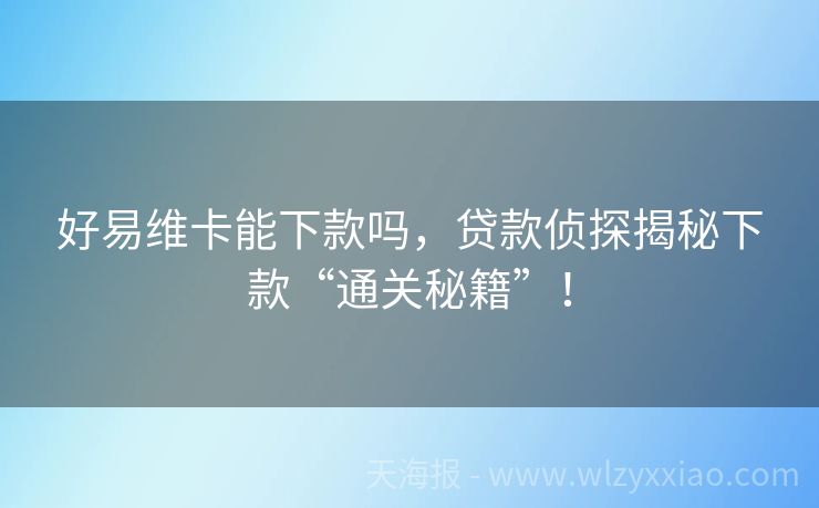 好易维卡能下款吗，贷款侦探揭秘下款“通关秘籍”！