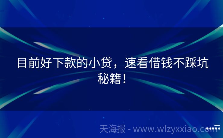 目前好下款的小贷，速看借钱不踩坑秘籍！