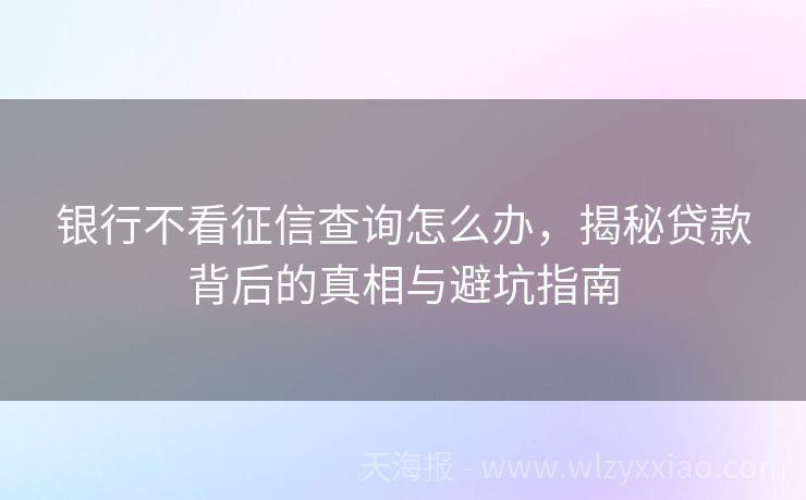 银行不看征信查询怎么办，揭秘贷款背后的真相与避坑指南