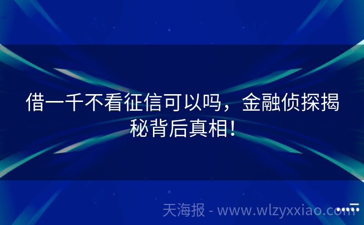 借一千不看征信可以吗，金融侦探揭秘背后真相！