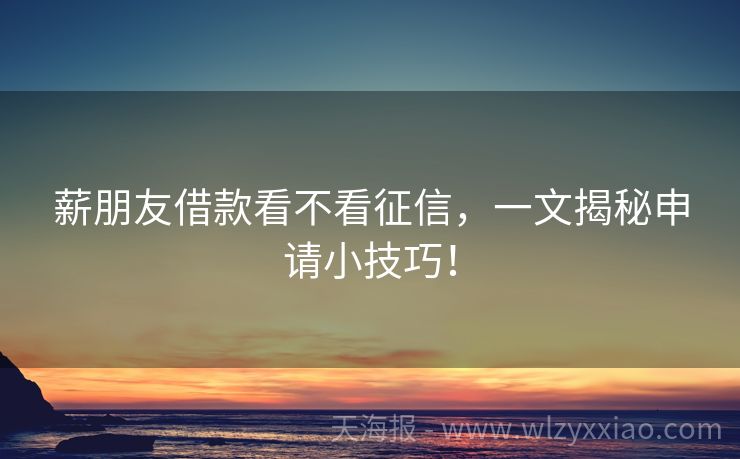 薪朋友借款看不看征信，一文揭秘申请小技巧！