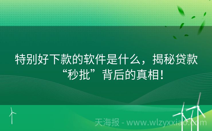 特别好下款的软件是什么，揭秘贷款“秒批”背后的真相！