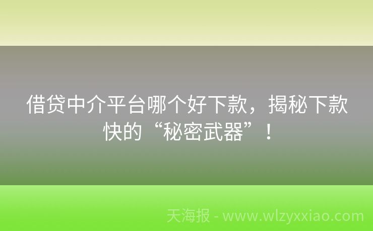 借贷中介平台哪个好下款，揭秘下款快的“秘密武器”！